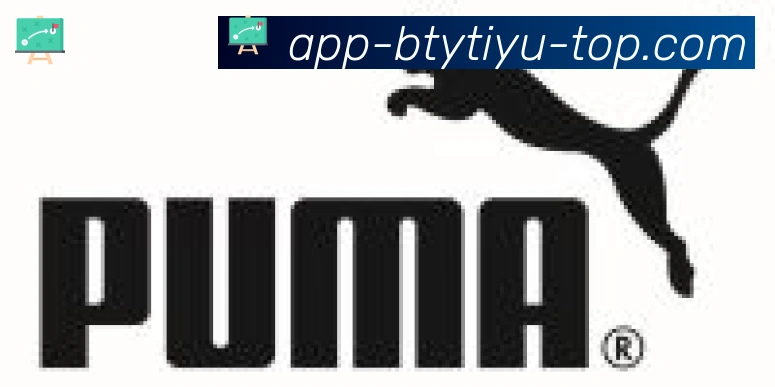 B体育官网合作伙伴